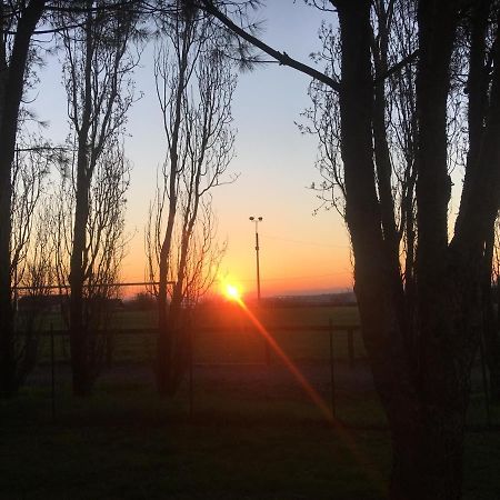 Le Paradis De La Provence Saint-Cyr-sur-le-Rhone エクステリア 写真